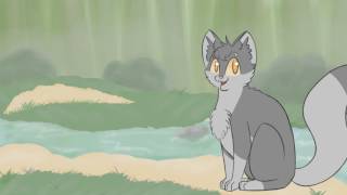The Medicine Cat Code The Medicine Cat Code