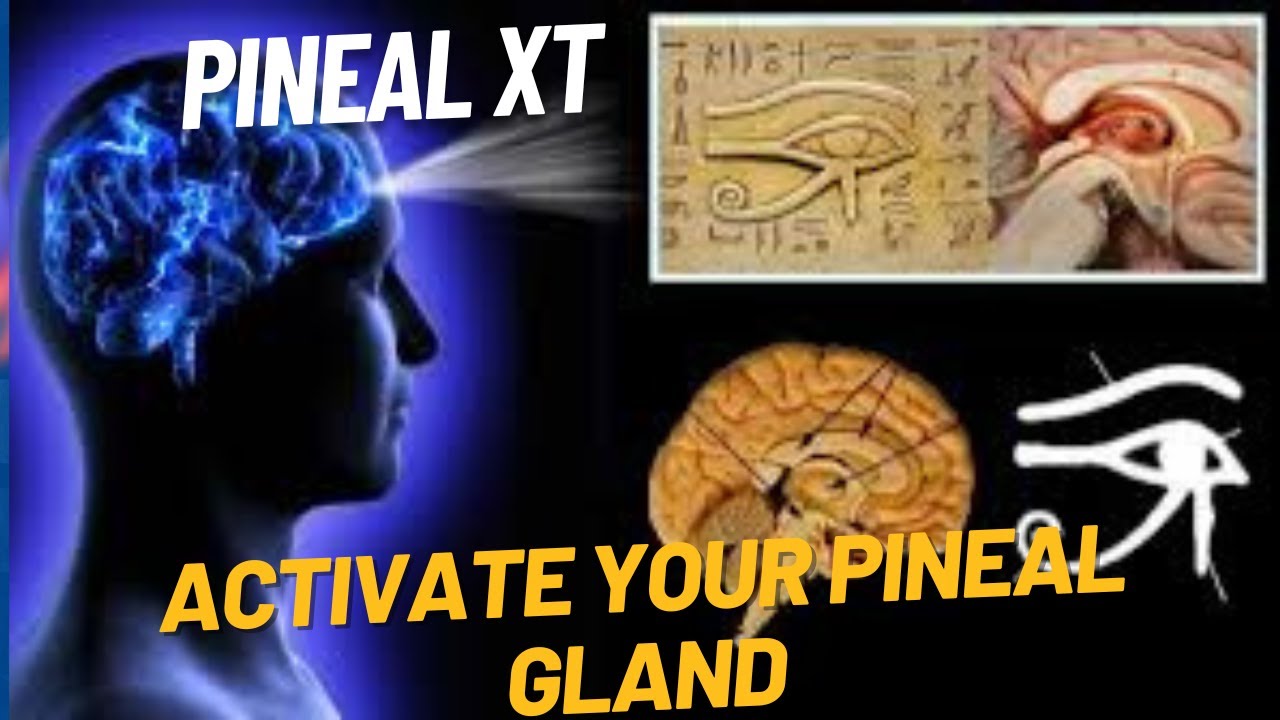 ((PINEAL XT)) – (🚨 ⚠️BEWARE 2024! ⚠️ 🚨) – PINEAL XT REVIEWS – PINEAL XT REVIEW – PINEAL XT BUY