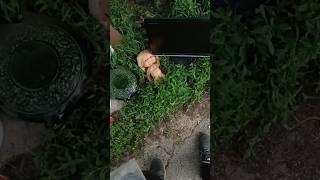 находки на барахолке