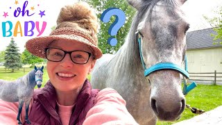 WHEN WILL MY MARE HAVE HER MYSTERY FOAL?!