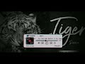 tiger shivam dj belar