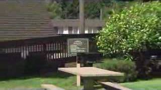 Piedmont Apartments for Rent in Bellevue, WA