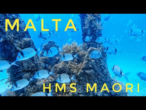 MALTA - Dive on the HMS Maori