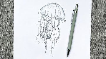 How to Draw a Jellyfish Step by Step / Drawing a jellyfish  / Easy Drawing Tutorials