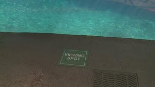 Mystic Aquarium prepares for reopening