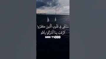 ماهر المعيقلي - سورة آل عمران ( برواية حفص عن عاصم ) الأية 151