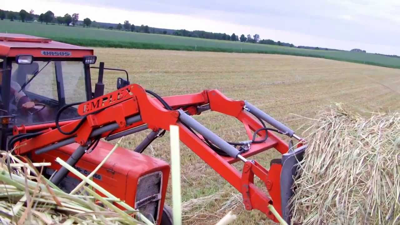 Kiszonka z żyta 2013-Czyli jak kisimy żyto w Wielkopolsce ! Ursus C-360, C-4011, Zetor Proxima 8441