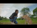 Can We Actually Talk to Animals?