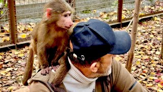 Анфисе так понравился вольер, что Влад не может ее поймать, но ко мне она прибежала сама)