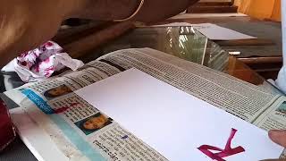 Ruling Pen Demo - 1