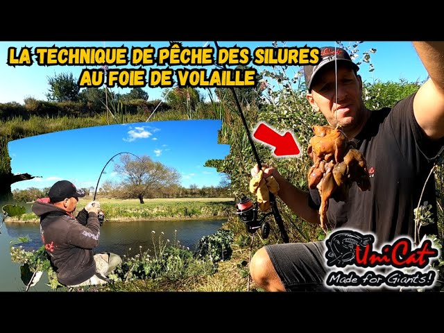 Pêche à la chinoise, juin 2019 : on attaque les jolies 