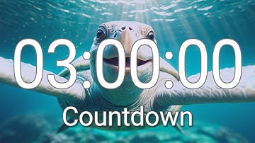 3 Hour Timer with Relaxing Music and Alarm