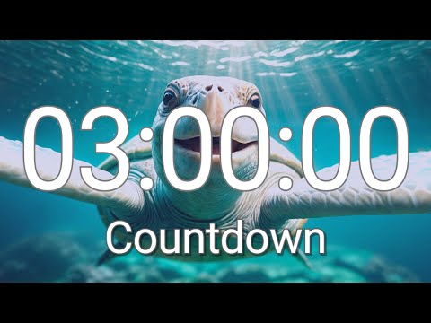 3 Hour Timer With Relaxing Music And Alarm