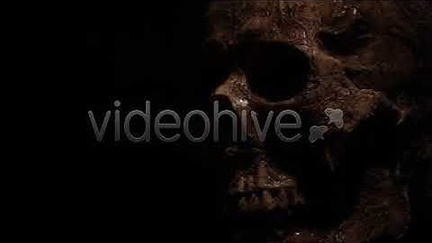 Skull | Stock Footage - Envato elements