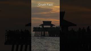 Cracking the Code to Eternal Love 💑 | Relationship Insights Short #eternallove #motivation #love Wealth