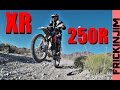 In-Depth XR250R Review