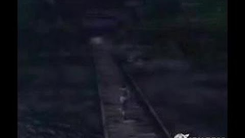 Fatal Frame II: Crimson Butterfly PlayStation 2