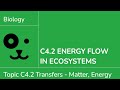 C4 2 Energiefluss Durch Ökosysteme IB Biologie SL HL