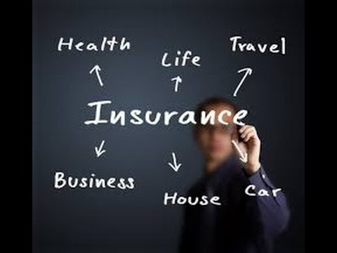 Types Of Insurance Policies Youtube