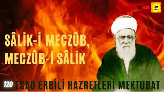 SÂLİK-İ MECZÛB, MECZÛB-İ SÂLİK Esad Erbili Hazretleri Mektubat 120. Mektup