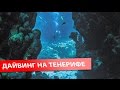 Почему стоит заняться дайвингом на Тенерифе?