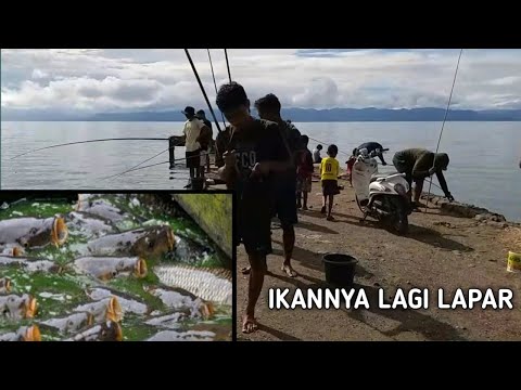 MANCING 1 JAM 100AN EKOR || IKANNYA LAPAR SEMUA ⁉️|| KESERUAN DI DESA!