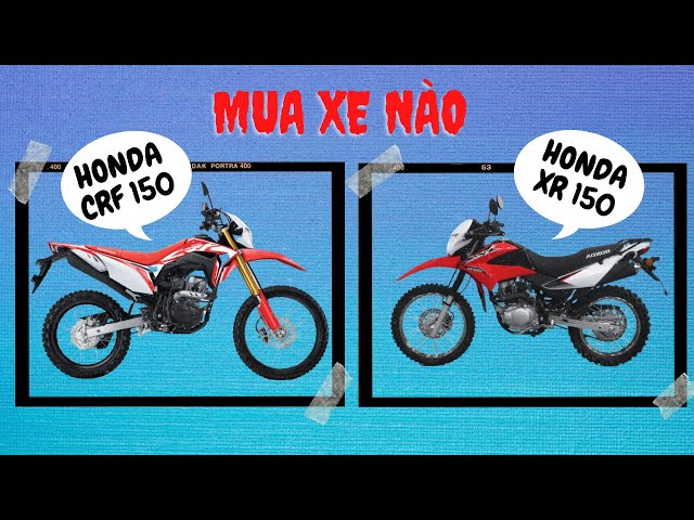 Honda CRF 150 MotardZone  DecalPro Store