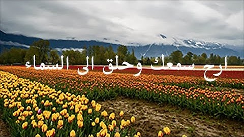 تلاوة هادئة وخاشعة بصوت يسلب الالباب لسور يوسف والرعد وإبراهيم والحجر