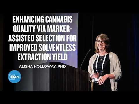 Enhancing Cannabis Quality via Marker-Assisted Selection for Improved Solventless Extraction Yield