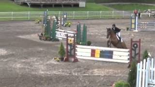 Cooley Dawn Raid CCI Bromont&Ocala