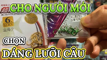 MẸO CHỌN LƯỠI CÂU CÁ , CHỌN DÁNG LƯỠI DÀNH CHO NGƯỜI MỚI
