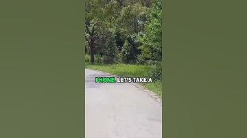 Testing Image Stabilization with the Hohem MT2 #shorts #isteadymobile