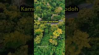 Kepercayaan Itu Mahal #motivation #story #katakatabijak #quotes #katamutiara