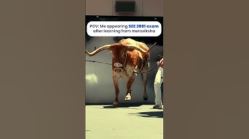 How to get A+ on SEE & BLE 2081 Exam 🎯| SEE 2081 | Grade 10 SEE | | BLE 2081 | SEE Routine | Nepal