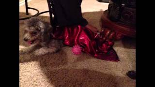 Song By Grande1899 - Fnaf2 Its Been So Long In Note Blocks