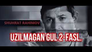 UZILMAGAN GUL Xaqida Shuxrat Shon bilan suxbat!