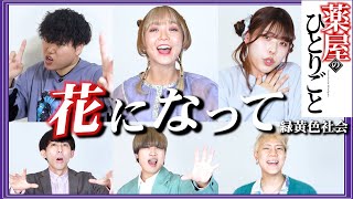 「花になって/緑黄色社会」アカペラで歌ってみた『薬屋のひとりごと』【momimaruコラボ】beatbox