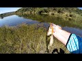 Catching Big Bass In Small Ponds In Limpopo South Africa