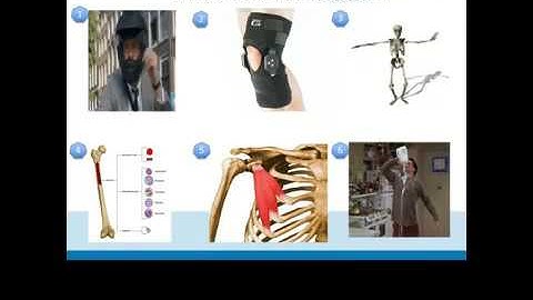 GCSE PE AQA Online Revision Workshop 2018 Sample