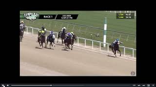 Horse Racing: King Miano Wins Race 1 At Tampa Bay Downs Sat. March 8, 2025