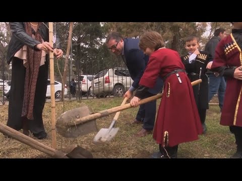 რუსთავში, ვახტან გორგასლის სახელობის ტაძრის ეზოში გამწვანების აქცია მოეწყო