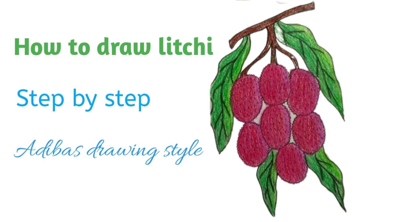 How to draw litchi - YouTube