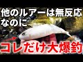 驚きの釣果！ワームより釣れる！春のデカバスが狂いまくってしまうやばいルアー【black bass】【4月】【スモールマウスバス】【スナッチ】