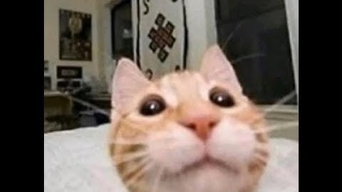 sva animation demo reel fall 2021 - lia kim