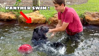 SWIMMING WITH 250LB BLACK PANTHER !