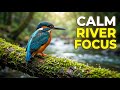 🛑 INSTANT RELAX‼️ Beautiful Mountain River 🌿 Peaceful Mind | Relaxing Ambience
