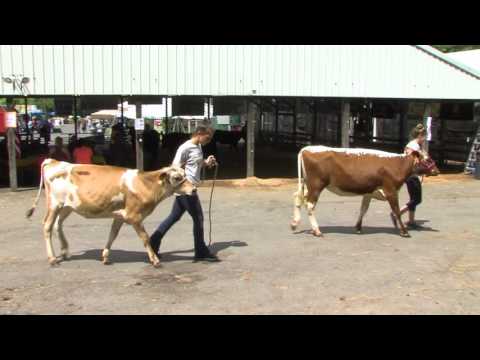 County Fair