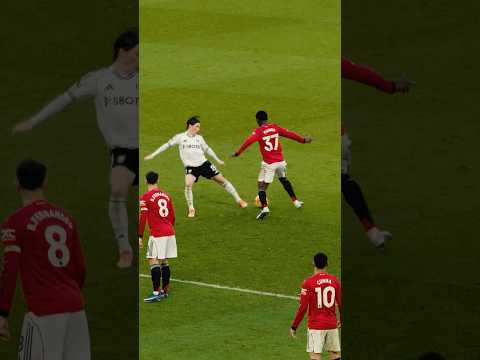 Majestic From Cunha, Bruno & Kobbie 🤤💫