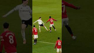 Majestic From Cunha, Bruno & Kobbie