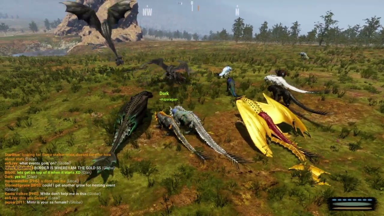 Day of dragons, Dragons games, Bibou's Pov